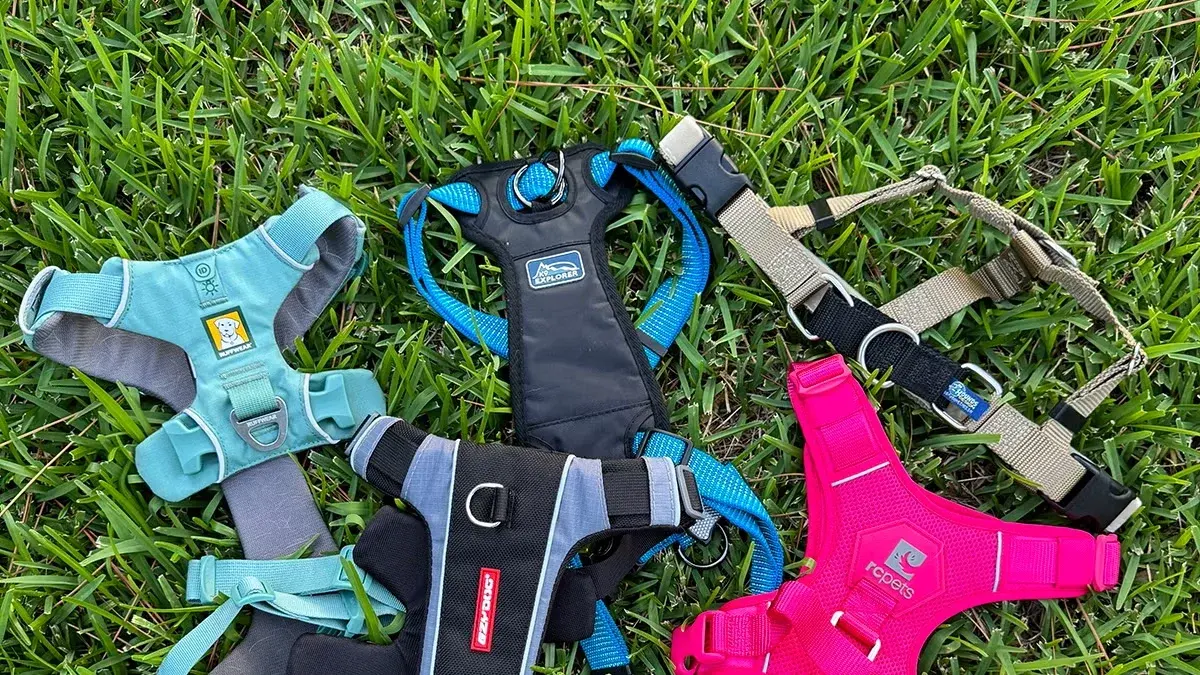 Best Dog Harness 2026: Top 3 Harnesses Tested and Ranked