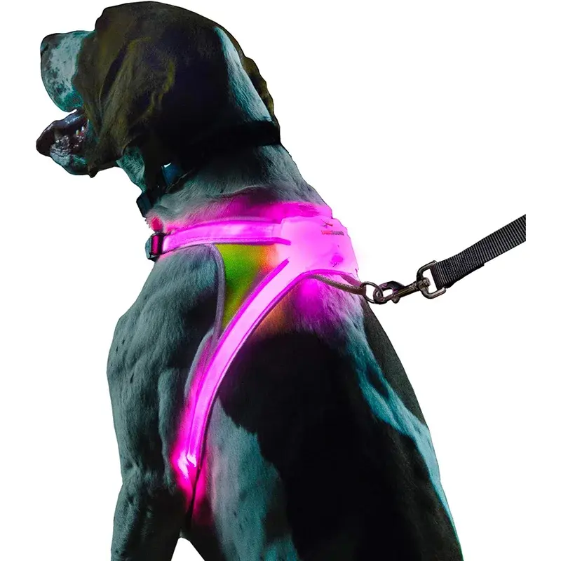 Noxgear LightHound